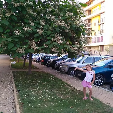 In Grand Kamelia 2 * Slăntjev Brjag